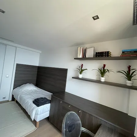 Lägenhet 3 Bedrooms Duplex Penthouse - Monaco Border 2min Walking Distance Roquebrune-Cap-Martin